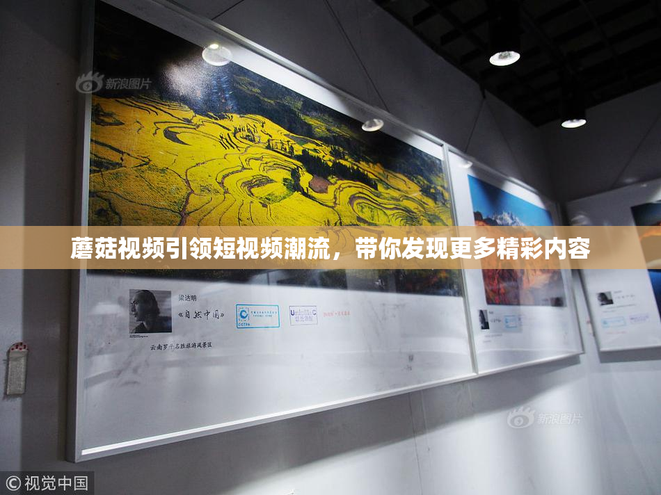 蘑菇视频引领短视频潮流，带你发现更多精彩内容