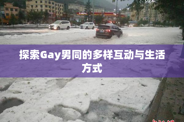 探索Gay男同的多样互动与生活方式