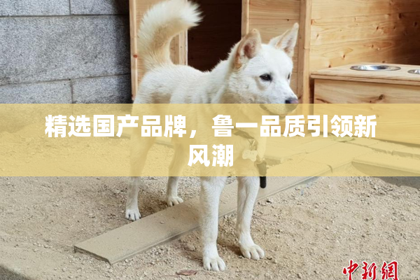 精选国产品牌，鲁一品质引领新风潮