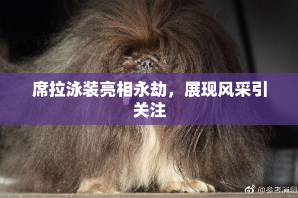 席拉泳装亮相永劫，展现风采引关注