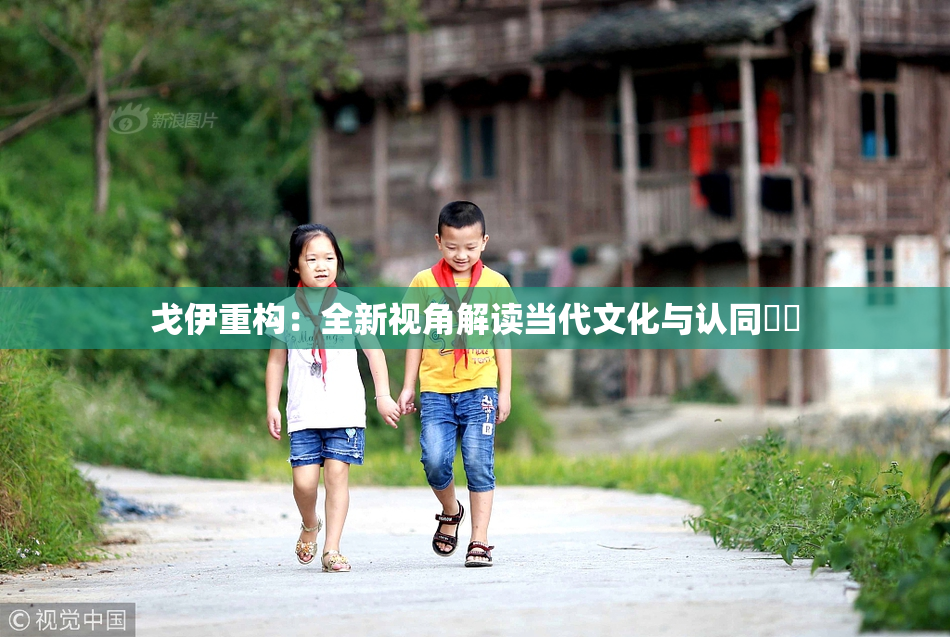戈伊重构：全新视角解读当代文化与认同問題