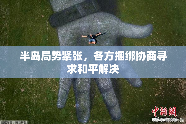 半岛局势紧张，各方捆绑协商寻求和平解决