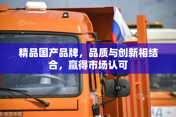 精品国产品牌，品质与创新相结合，赢得市场认可