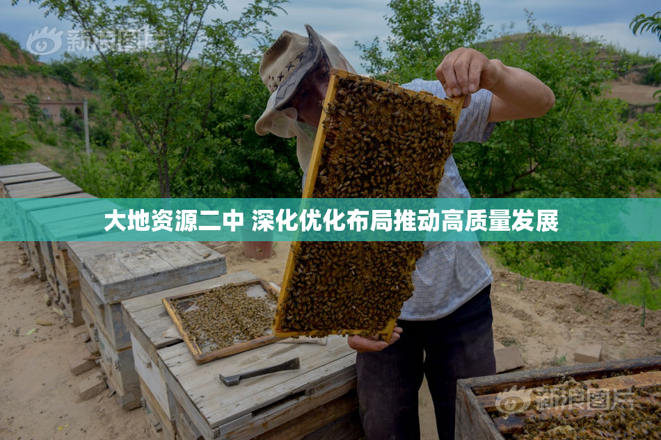 大地资源二中 深化优化布局推动高质量发展