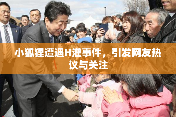 小狐狸遭遇H灌事件，引发网友热议与关注
