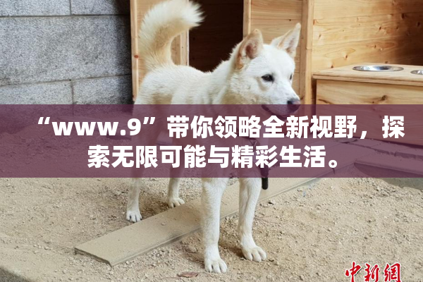 “www.9”带你领略全新视野，探索无限可能与精彩生活。