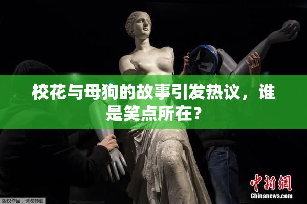 校花与母狗的故事引发热议，谁是笑点所在？