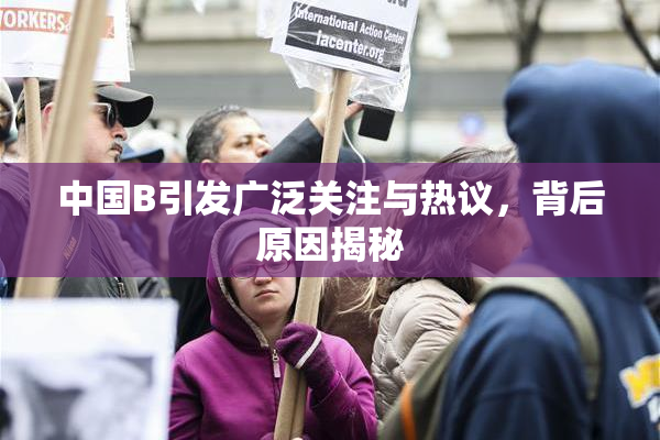 中国B引发广泛关注与热议，背后原因揭秘