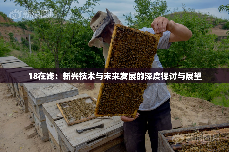 18在线：新兴技术与未来发展的深度探讨与展望