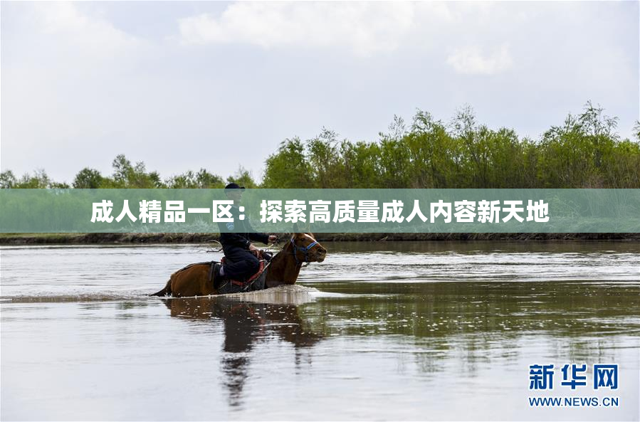成人精品一区：探索高质量成人内容新天地