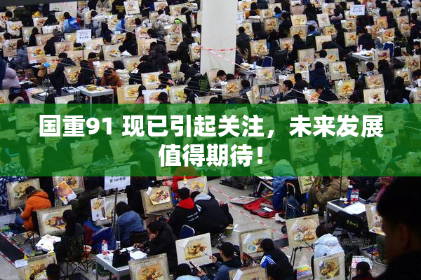 国重91 现已引起关注，未来发展值得期待！