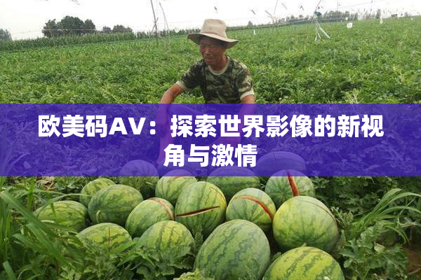 欧美码AV：探索世界影像的新视角与激情