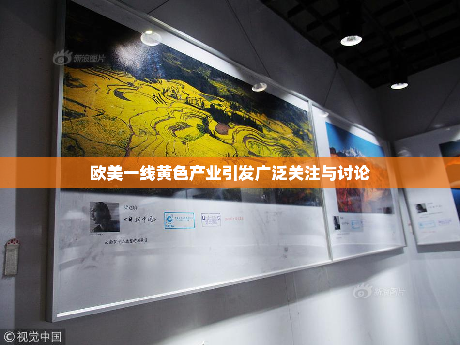 欧美一线黄色产业引发广泛关注与讨论