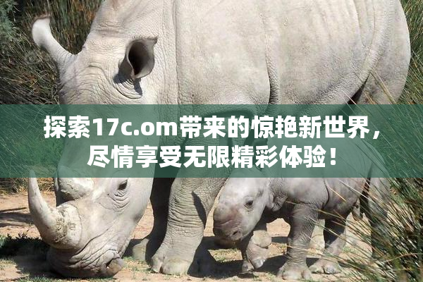 探索17c.om带来的惊艳新世界，尽情享受无限精彩体验！