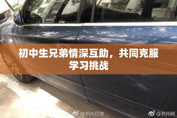 初中生兄弟情深互助，共同克服学习挑战