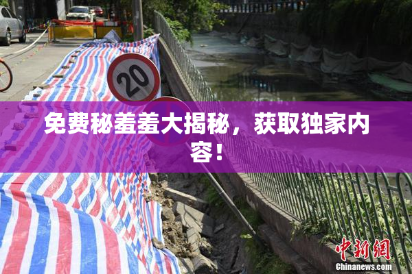 免费秘羞羞大揭秘，获取独家内容！