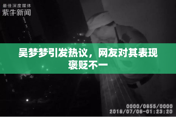 吴梦梦引发热议，网友对其表现褒贬不一