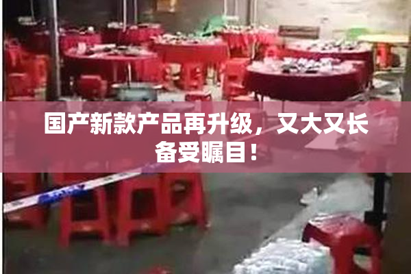 国产新款产品再升级，又大又长备受瞩目！