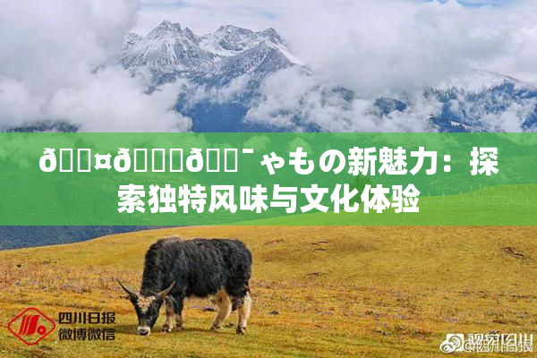 🖤🌃🔯ゃもの新魅力：探索独特风味与文化体验