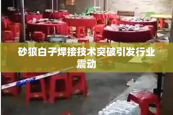 砂狼白子焊接技术突破引发行业震动