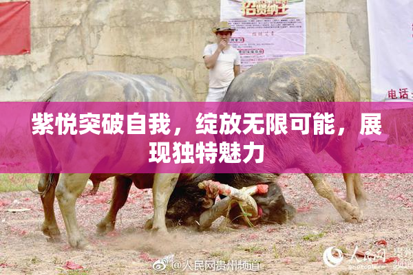 紫悦突破自我，绽放无限可能，展现独特魅力