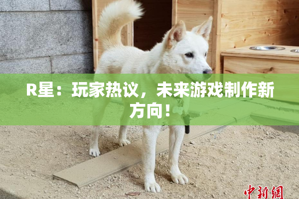 R星：玩家热议，未来游戏制作新方向！