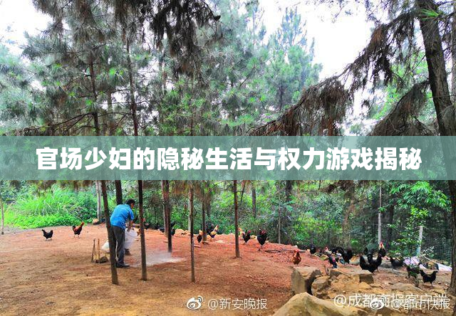 官场少妇的隐秘生活与权力游戏揭秘