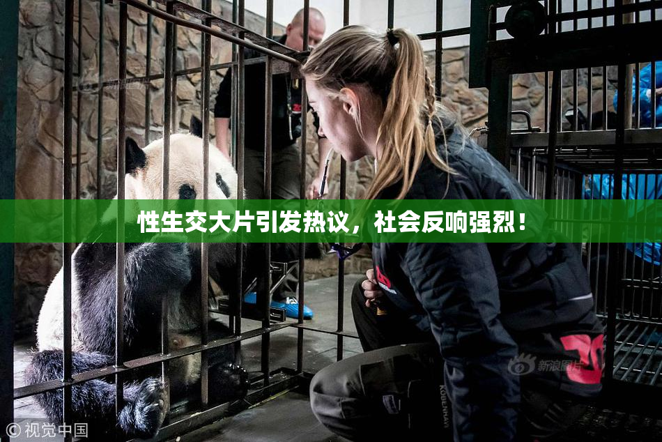 性生交大片引发热议，社会反响强烈！