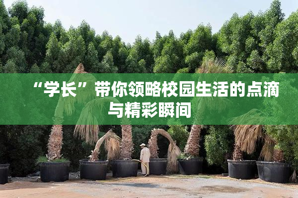 “学长”带你领略校园生活的点滴与精彩瞬间