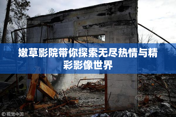 嫩草影院带你探索无尽热情与精彩影像世界