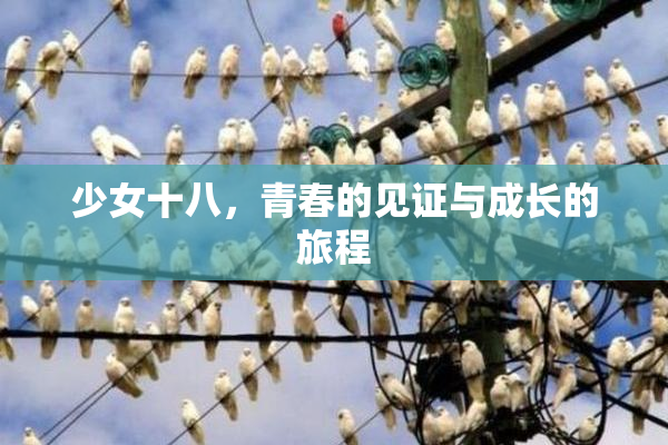 少女十八，青春的见证与成长的旅程