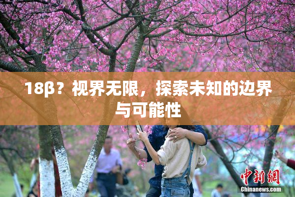 18β？视界无限，探索未知的边界与可能性