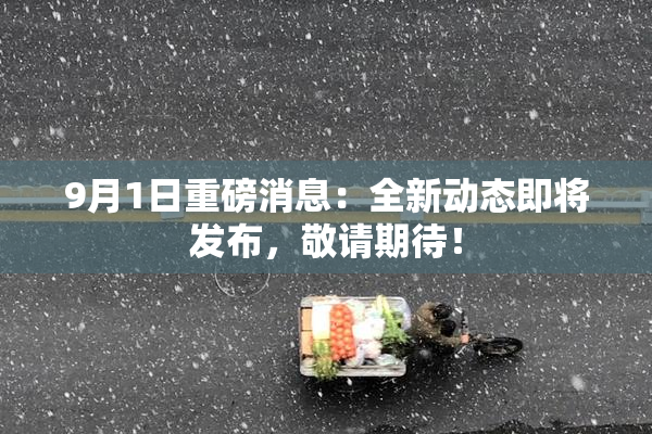 9月1日重磅消息：全新动态即将发布，敬请期待！