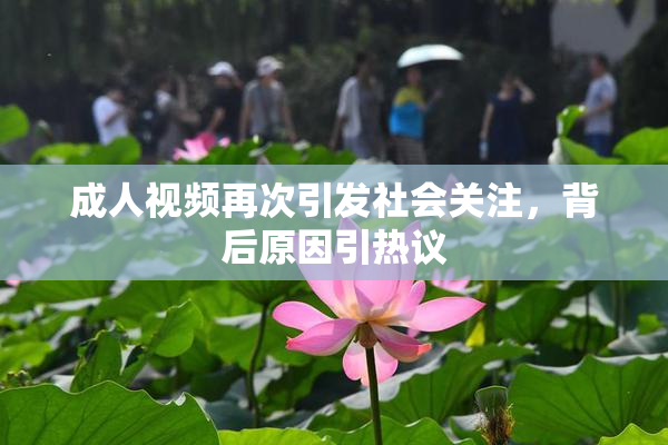 成人视频再次引发社会关注，背后原因引热议
