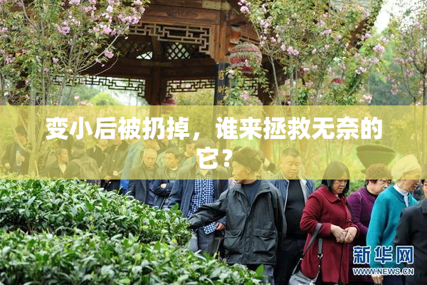 变小后被扔掉，谁来拯救无奈的它？