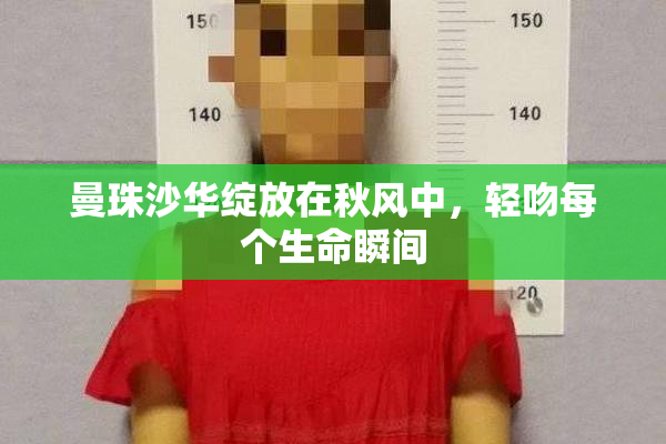 曼珠沙华绽放在秋风中，轻吻每个生命瞬间