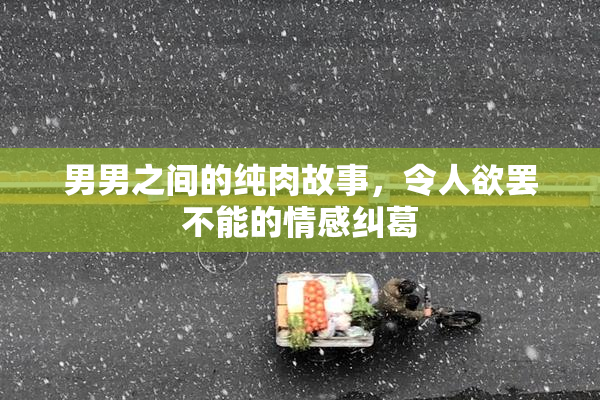 男男之间的纯肉故事，令人欲罢不能的情感纠葛