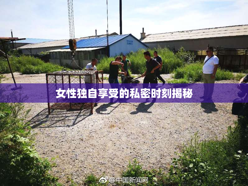女性独自享受的私密时刻揭秘