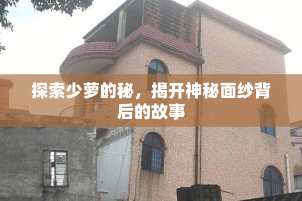 探索少萝的秘，揭开神秘面纱背后的故事