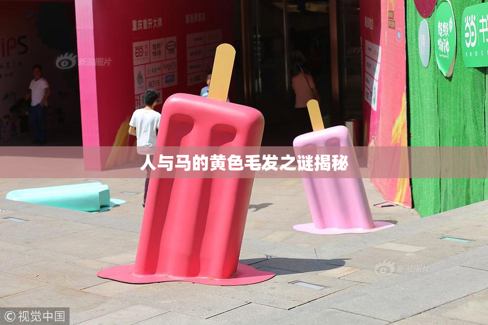 人与马的黄色毛发之谜揭秘