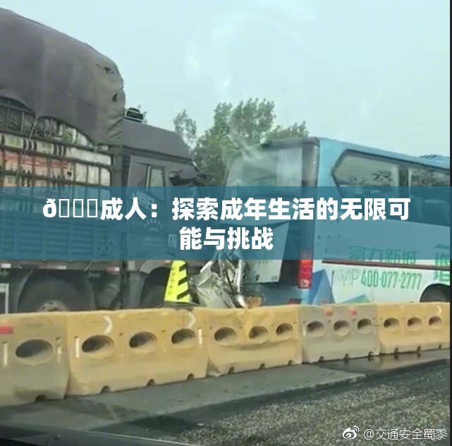 🔞成人：探索成年生活的无限可能与挑战