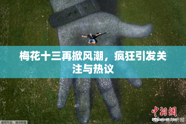 梅花十三再掀风潮，疯狂引发关注与热议