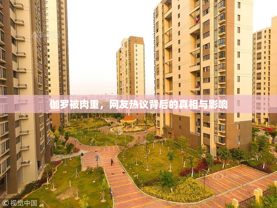 伽罗被肉重，网友热议背后的真相与影响
