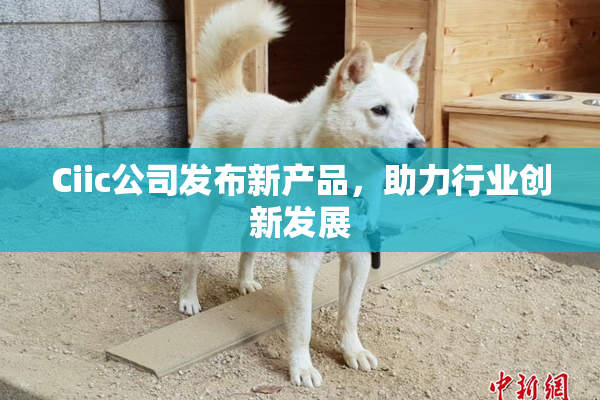 Ciic公司发布新产品，助力行业创新发展