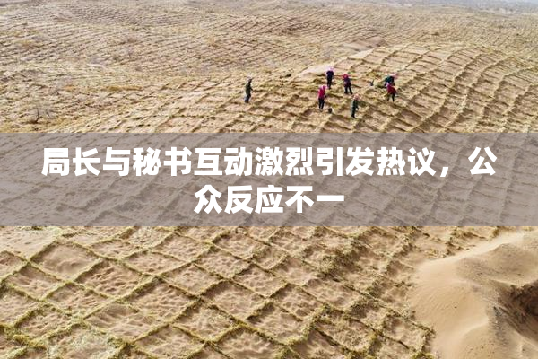 局长与秘书互动激烈引发热议，公众反应不一