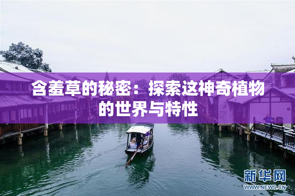 含羞草的秘密：探索这神奇植物的世界与特性