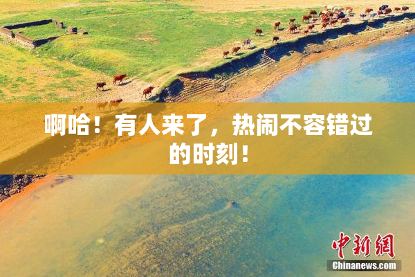 啊哈！有人来了，热闹不容错过的时刻！