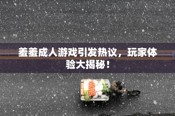羞羞成人游戏引发热议，玩家体验大揭秘！