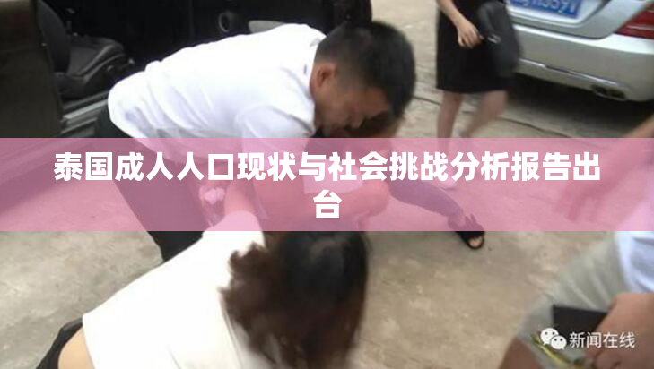 泰国成人人口现状与社会挑战分析报告出台