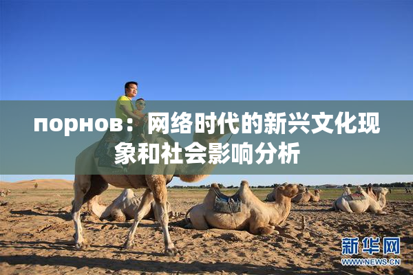 порнов：网络时代的新兴文化现象和社会影响分析